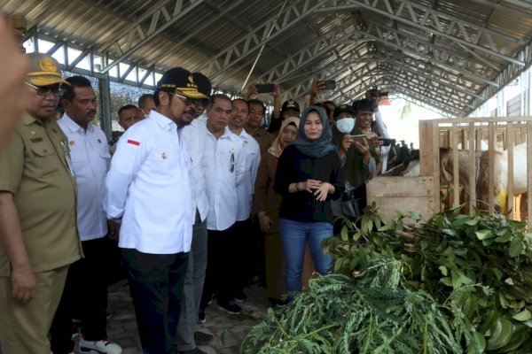 Cek Ketersediaan Sapi di NTB, Mentan Pastikan Pemasangan Eartag Sesuai SOP