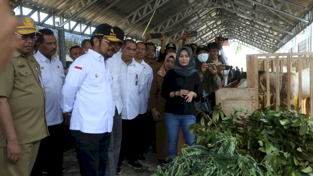 Cek Ketersediaan Sapi di NTB, Mentan Pastikan Pemasangan Eartag Sesuai SOP  