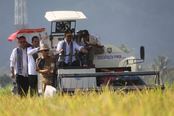 Panen Padi Di Lombok Barat, Mentan SYL Ajak Petani Bersama Hadapi EL Nino