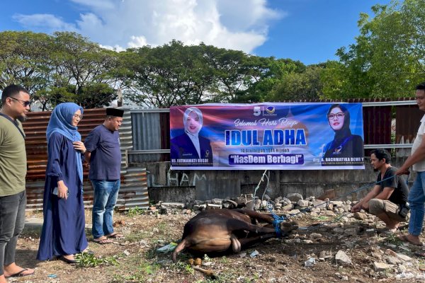 NasDem Makassar Bersama Fatmawati Rusdi Berbagi Qurban ke Warga 15 Kecamatan