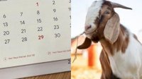 Libur Idul Adha Ditambah Jadi 3 Hari, Berikut Jadwal Libur Nasional dan Cuti Bersama 2023