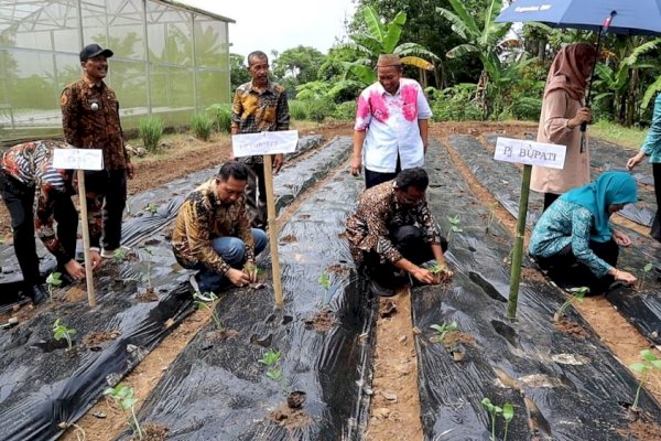 Pj. Bupati Takalar bersama Pj. Ketua TP. PKK Canangkan Gerakan Menanam Cabe dan Sayuran di Pekarangan Warga