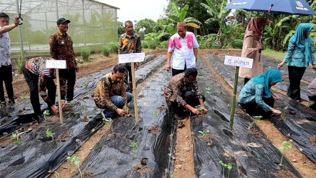 Pj. Bupati Takalar bersama Pj. Ketua TP. PKK Canangkan Gerakan Menanam Cabe dan Sayuran di Pekarangan Warga