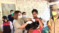 Tekan Penyebaran Virus, Kementan Lakukan Vaksinasi Massal Rabies di Timor Tengah Selatan