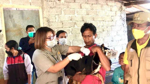  Kementan Lakukan Vaksinasi Massal Rabies di Timor Tengah Selatan.(F-INT)