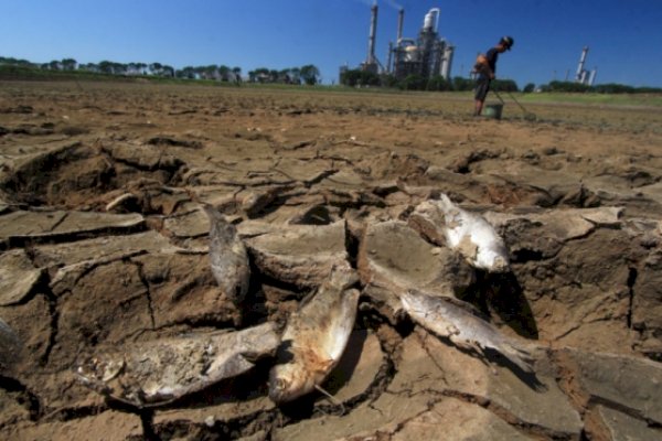 BMKG Peringatkan Ancaman El Nino di Sejumlah Wilayah Indonesia