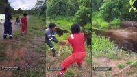 Kejam! Anjing Dilempar Hidup-hidup ke Rawa Tarakan, Langsung Lenyap Diterkam Buaya