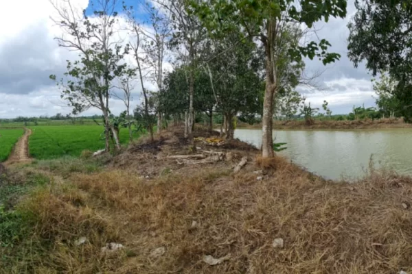 Hadapi El Nino, Petani di Wajo Masih Bisa Manfaatkan Embung