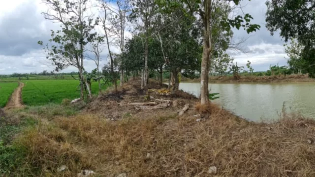 Hadapi El Nino, Petani di Wajo Masih Bisa Manfaatkan Embung