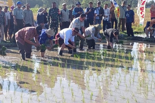 Gerakan Tanam Nasional 