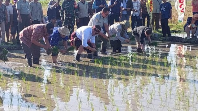 Gerakan Tanam Nasional 