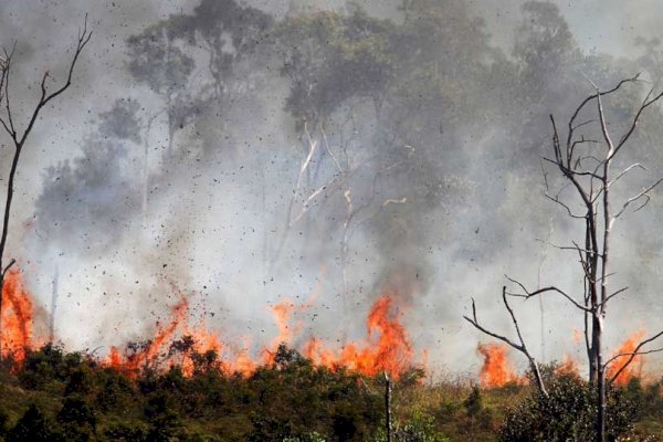 Kemarau Panjang, 14 Hektare Lahan di Maluku Terbakar