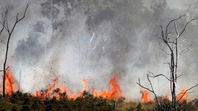 Kemarau Panjang, 14 Hektare Lahan di Maluku Terbakar