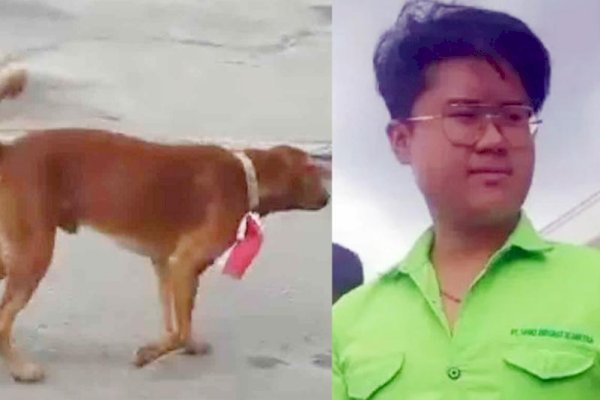 Pasang Bendera di Leher Anjing, Pemuda di Bengkalis Jadi Tersangka