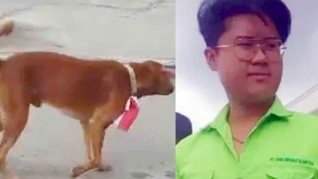 Pasang Bendera di Leher Anjing, Pemuda di Bengkalis Jadi Tersangka