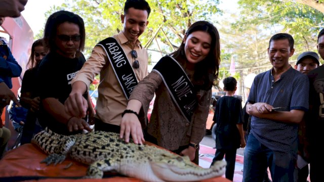 Damkar Makassar Pamerkan Satwa Liar Burung Elang dan Buaya Hasil Evakuasi