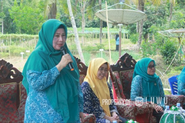 Sambut Tim SMEP PKK Provinsi, Hj Hayarna : Evaluasi Bentuk Motivasi Peningkatan Kinerja