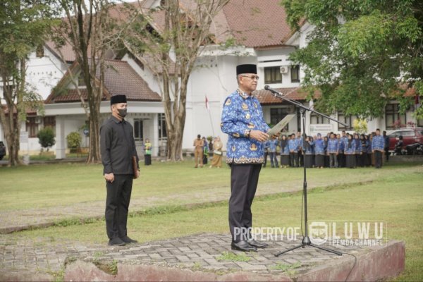 Bupati Luwu Serahkan SK PPPK Kepada 24 Tenaga Kesehatan Formasi 2023
