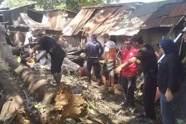 Peduli Sesama, Anggota DPRD Makassar Muchlis Misbah Tinjau Rumah Warga Tertimpa Pohon di Muh Yamin