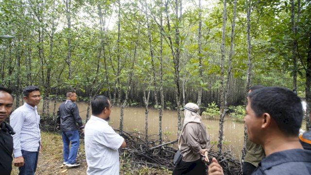 Gubernur Andi Sudirman Sulaiman Sharing Terkait Corbon Trading di Kepulauan Riau