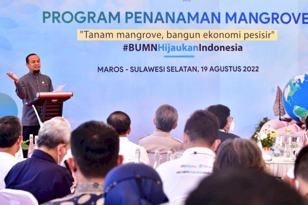 Era Kepemimpinan Andi Sudirman Realisasi Penanaman Mangrove di Sulsel Capai 3 Juta Pohon