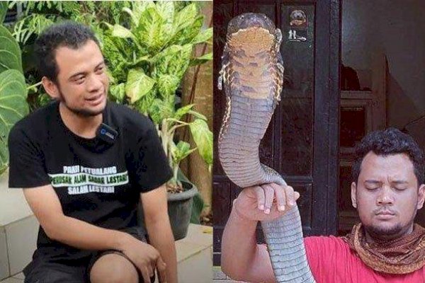 Nasib Panji Petualang Usai Digigit King Cobra, Terlihat Kurus karena Diabetes