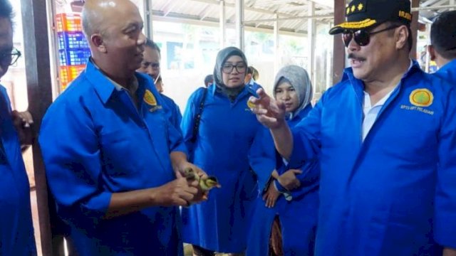 Irjen Kementan Mengawal Produksi Bibit Ternak Unggul Berkualitas di Kalimantan Selatan