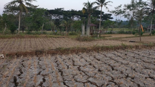 Gunungkidul Siaga Darurat Kekeringan hingga September