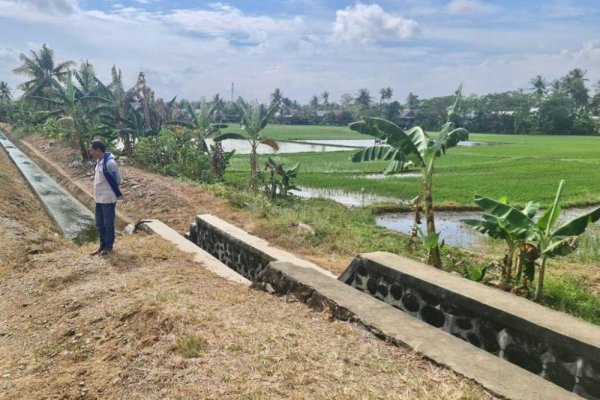 Kementan Langsung Bergerak Atasi Kekeringan di Wajo Akibat El Nino