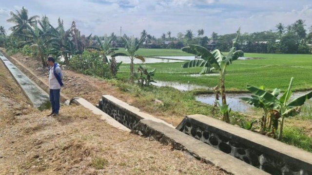 Kementan Langsung Bergerak Atasi Kekeringan di Wajo Akibat El Nino