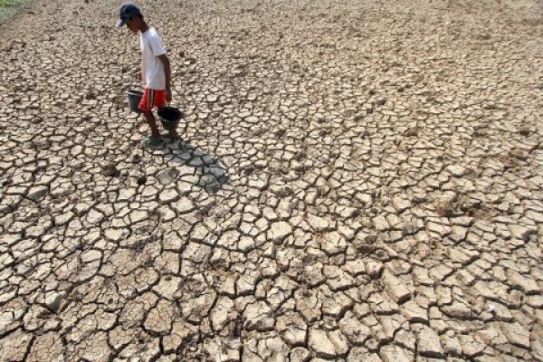 Seluruh Pihak Diminta Bersinergi Antisipasi Dampak El Nino