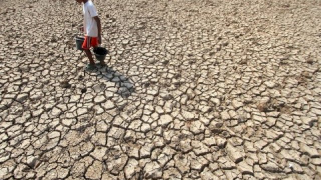 Seluruh Pihak Diminta Bersinergi Antisipasi Dampak El Nino