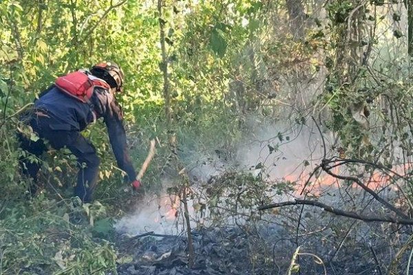 Pemadam Kebakaran Sigap Tanggani Kebakaran Lahan Kebun di Maros