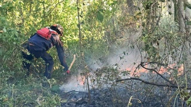 Pemadam Kebakaran Sigap Tanggani Kebakaran Lahan Kebun di Maros