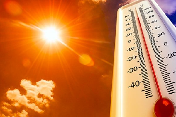 2023 Dicatat Sebagai Tahun Terpanas dalam Sejarah