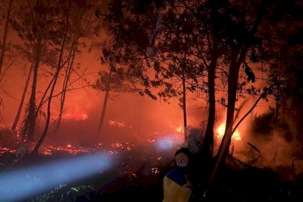 BMKG Ingatkan Potensi Kebakaran Hutan di Sejumlah Wilayah