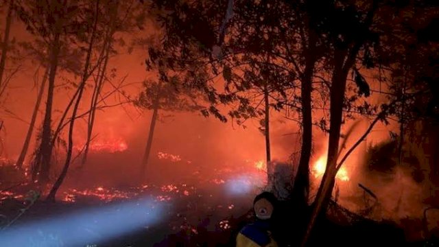 BMKG Ingatkan Potensi Kebakaran Hutan di Sejumlah Wilayah