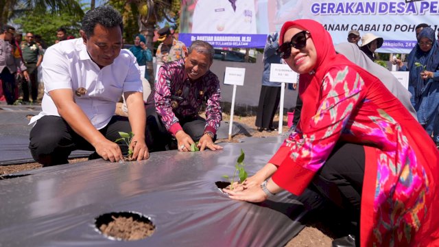 Sofha Marwah Bahtiar Mulai Gerakan Tanam Cabai di Wajo