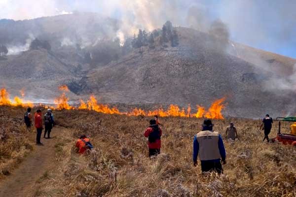 Kebakaran Masih Menggila, Semua Jalur Wisata Bromo Ditutup Total