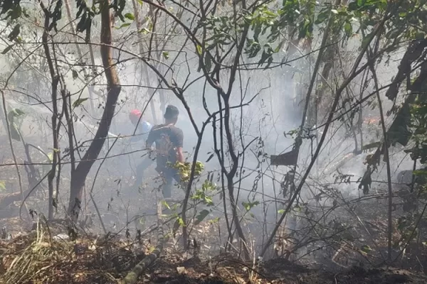 Damkar Terjunkan 5 Armada Padamkan Kebakaran Lahan Dua Titik di Parepare