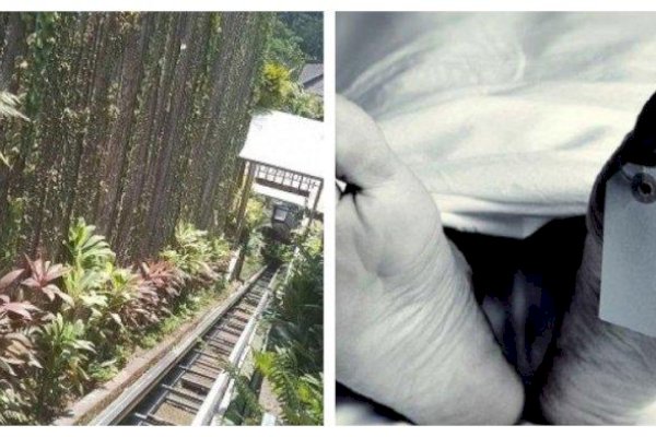 Tragis! Tali Lift Putus, Lima Pegawai Resort di Ubud Tewas