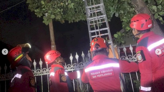 Evakuasi Sarang Tawong di Manggala Makassar