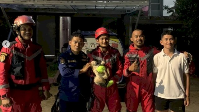 Anggota Damkar Makassar Selamatkan Kucing yang terjebak di Pohon