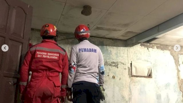 Damkar Makassar Tangani Sarang Tawon di Rumah Warga