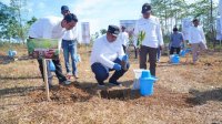 Peduli Lingkungan, Pemda Maros Bersama Pelindo Tanam 2500 Pohon Buah