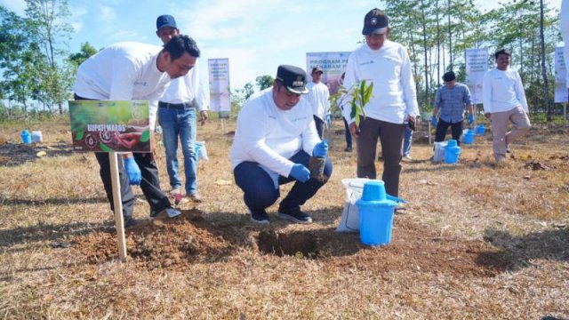 Peduli Lingkungan, Pemda Maros Bersama Pelindo Tanam 2500 Pohon Buah