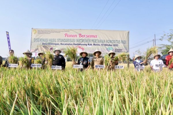 Bupati Maros Chaidir Syam Bersama Pj Gubernur Sulsel Panen Raya Padi di Tengah El Nino, Hasil Menakjubkan