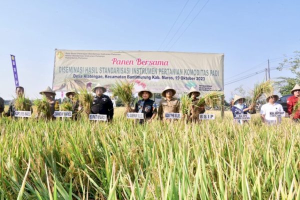 Bupati Maros Chaidir Syam Bersama Pj Gubernur Sulsel Panen Raya Padi di Tengah El Nino, Hasil Menakjubkan
