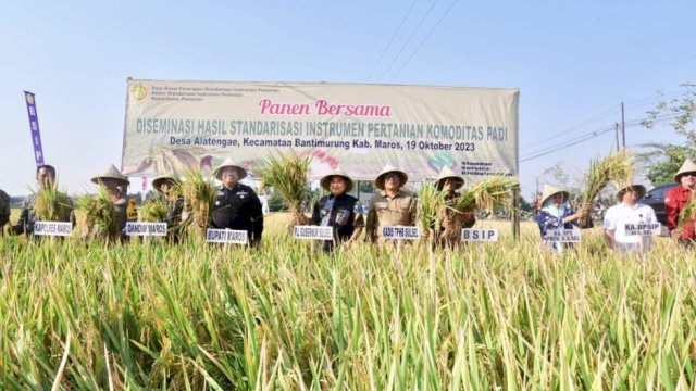 Bupati Maros Chaidir Syam Bersama Pj Gubernur Sulsel Panen Raya Padi di Tengah El Nino, Hasil Menakjubkan