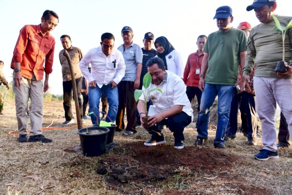 Budidaya Pisang di Lahan 1 Juta Hektare, Pj Gubernur Sulsel Undang Swasta Berinvestasi